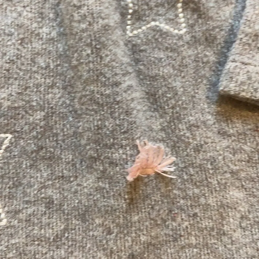 Zara sweater dress size 2 to 3 Light Brown embroidered stars tassels wool cotton